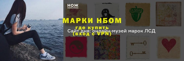 соль ск Богородск