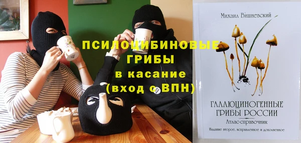 мет Богданович